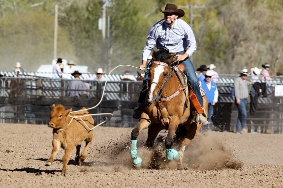 rodeo-ga1c469f3b_1280 rodeo-ga1c469f3b_1280